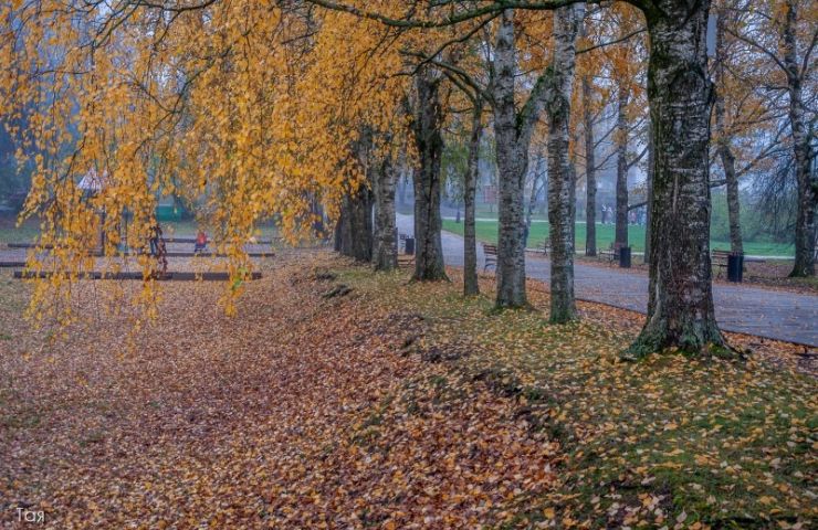 Осень в Новгороде