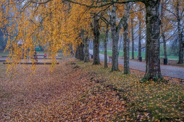 Фотографии Великого Новгорода Осенью